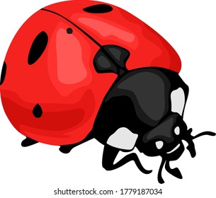 Diseño vectorial simple de ladybugs negros y rojos
