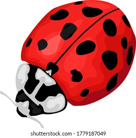 Simple Vector Design of Black and Red Ladybugs