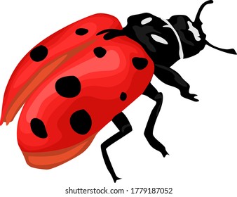 Simple Vector Design of Black and Red Ladybugs