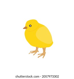 simple vector design of a chick