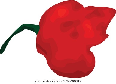 Simple Vector Design of Chili in Red