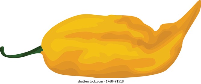 Simple Vector Design of Chili in Yellow
