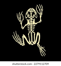simple vector design, frog bones, very suitable for any purpose.