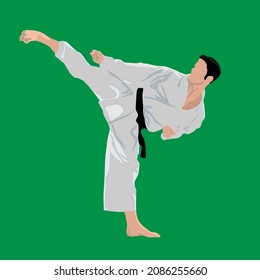 simple vector design of a karate movement