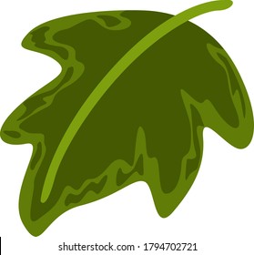 Simple Vector Design of Leaf in Green
