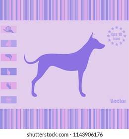 simple vector dog icon. Illustration on a Flat design style. Suitable for dog breeders, dog handlers, veterinarians