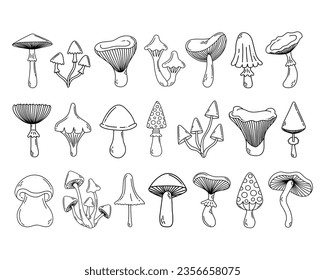 Simple vector doodle. Sketch drawing of forest mushroom. Easy to change color.