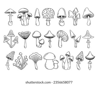 Simple vector doodle. Sketch drawing of forest mushroom. Easy to change color.