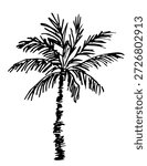 Simple vector drawing with a black outline. Palm tree isolated on a white background. Tropical plants. Summer beach vacation.