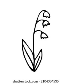 Simple vector drawing in black outline. Spring lily of the valley isolated on white background. Flowers, nature and vegetation.