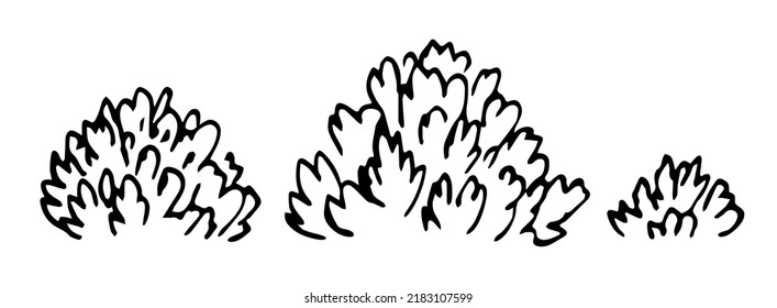 Simple vector drawing in black outline. Set of bushes, forest park plants, trees, vegetation. Ink sketch. Landscape and nature.