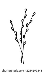 Simple vector drawing with black outline. Willow branches, spring time. Bouquet. Sketch in ink.