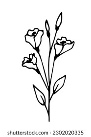 Simple vector drawing with black outline. Eustoma branch, flower, bouquet. Sketch in ink.