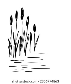 Simple vector drawing in black outline. Lake shore, reeds, calm water, river, swamp. Nature, landscape, duck hunting, fishing. Ink sketch.