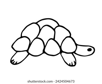 Dibujo vectorial simple con contorno negro. Pequeña tortuga, animales anfibios, concha. Naturaleza, zoológico. Esbozo con tinta.