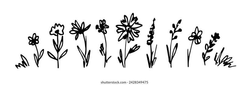 Simple vector drawing with black outline. Set of wild flowers, meadow herbs. Sketch in ink.