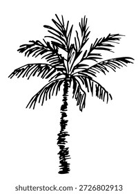Simple vector drawing with a black outline. Palm tree isolated on a white background. Tropical plants. Summer beach vacation.