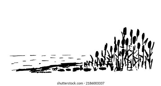 Simple Vector Drawing With Charcoal Pencil. Bank Of The River, Thickets Of Reeds. Wild Lake, Duck Hunting. Nature And Landscape.