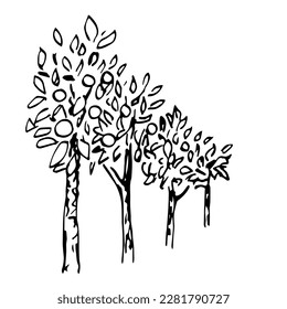 Simple vector drawing in engraving style. Row of fruit trees. Orchard. Nature and landscape. Growing plants. Sketch in ink.