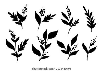 Simple vector drawing. Floral set, flowers, branches with leaves, inflorescences of field herbs. Black silhouette, plant elements.