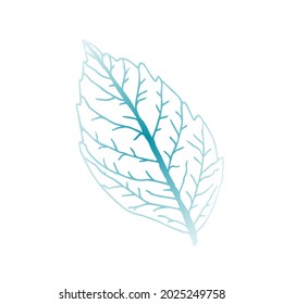 Simple vector drawing. Frosty winter leaf, veins. Seasonal design.