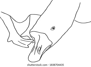 Simple vector drawing of a goose head, neck and paws outline.  Creative picture with farm animal goose.