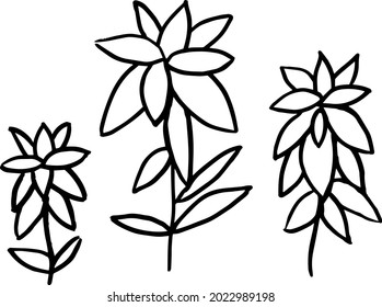 Simple vector drawing of plants. Grass sprouts. For print.