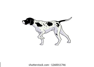 Simple Vector Of English Pointer Dog