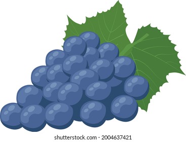 Simple vector eps illustration of a dark blue grape with a leaf on a white background isolated