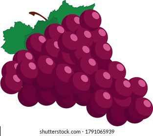 ilustración simple de los vectores de una uva con sombras simples sobre fondo blanco 