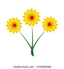 simple vector flower design isolated white