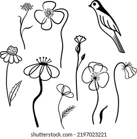 Simple vector flowers isolated on white background. Abstract floral elements.