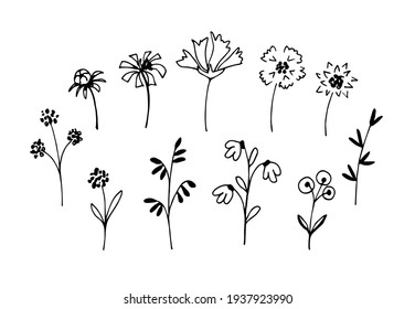 Simple vector freehand black outline set. Delicate flowers, twigs, leaves, bouquets, field grass in a rustic style on a white background. Elements of nature, plants for decoration.