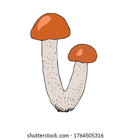Simple vector freehand drawing in black outline. Edible mushroom isolated on a white background. Element of nature, forest, autumn. Organic product, vegetarianism, food, menu, ingredient.