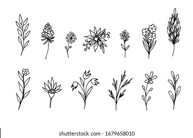 Simple vector freehand set of black outline. The contour of delicate flowers, twigs, leaves, bouquets, field grass in a rustic style on a white background. Elements of nature, plants for decoration.