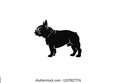 Simple Vector of French Bulldog