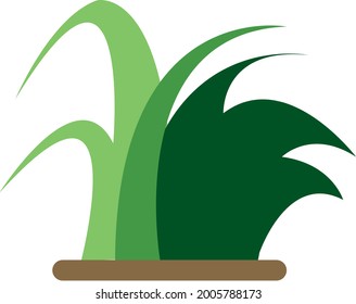 un simple vector de una planta de césped fresco. adecuado para decoraciones, afiches, cartas y otros.