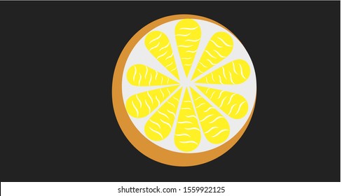 Simple vector of a fruit orange