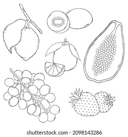 Einfache Vektorfruchtumrissgrafik: