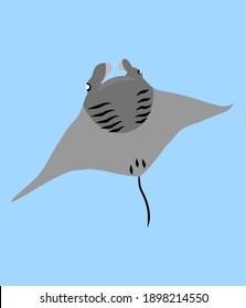 Simple vector graphic oceanic manta ray