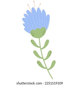 Simple vector hand draw flowers  with branches and leafs naturals. Spring flower elements.