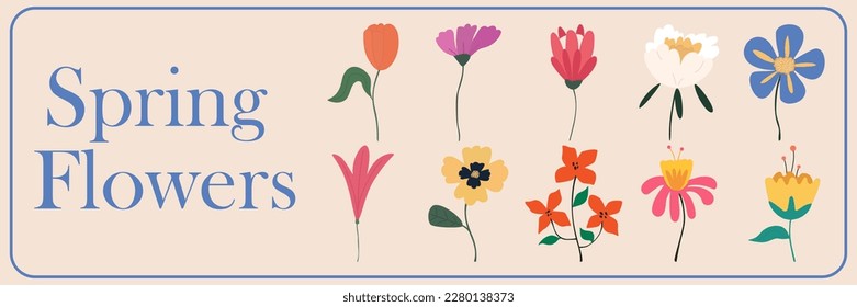 Simple vector hand drawn various shapes and doodle Botanical Nature flowers and Leaves modern trendy Elements illustration set. Spring and summer season