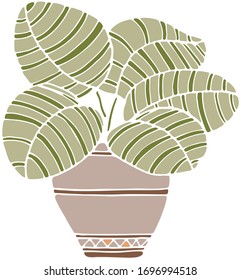 Simple vector de la planta doméstica en la olla sobre fondo blanco