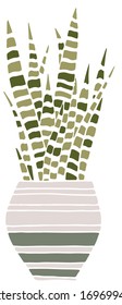 Simple vector de la planta doméstica en la olla sobre fondo blanco