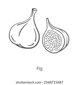 Simple vector icon of fig