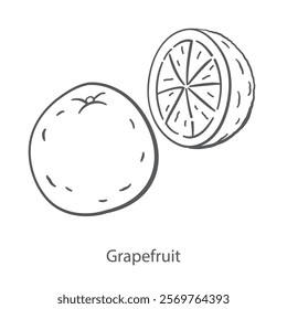 Simple vector icon of Grapefruit