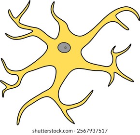 A simple vector icon illustrating an anaxonic neuron cell. Perfect for educational materials, biology textbooks, and medical presentations, with a clear, minimalistic design.