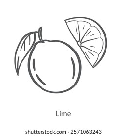 Simple vector icon of lime