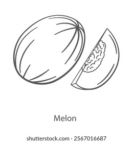 Simple vector icon of melon