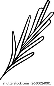 Rama de romero de icono de Vector simple, hierba picante, icono dibujado a mano en blanco y negro, doodle y estilo de boceto